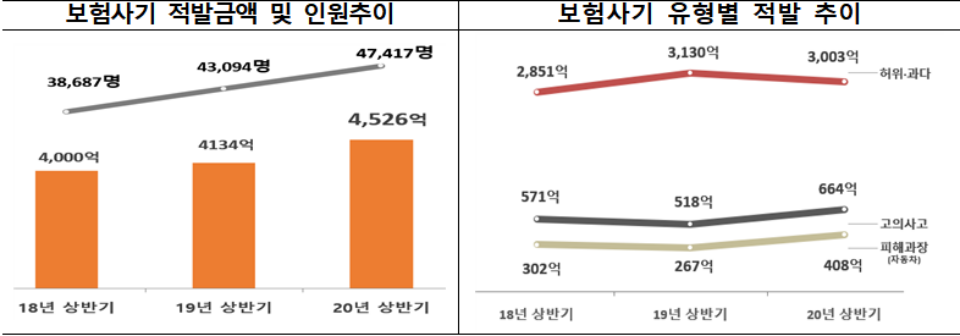 (자료=금감원)