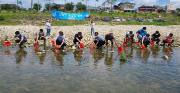 산청군 쏘가리 치어 방류 토속어 보존사업