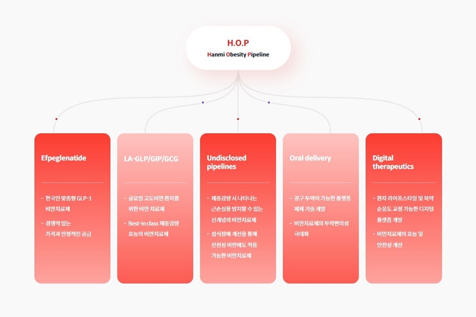 한미약품이 비만 관련 전주기적 치료 방법을 모색하기 위해 추진하는 'H.O.P 프로젝트'.[이미지=한미약품]