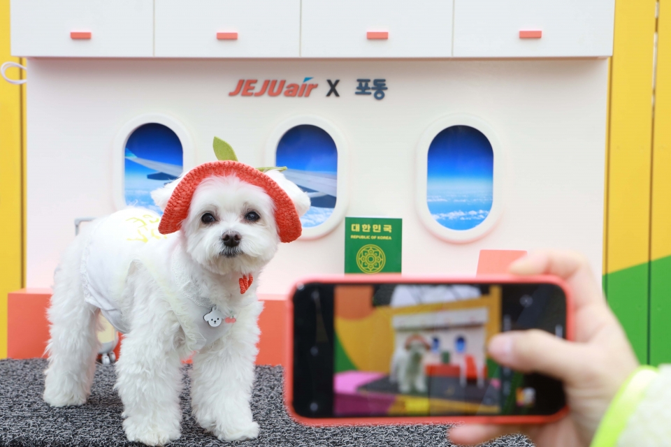 지난 5일 포동 전세기 탑승객들이 비행기 탑승 전 김포공항 국내선 여객터미널 근처 ‘펫파크’에 마련된 ‘댕댕 유치원 현장학습’ 프로그램에 참여해 기념 사진을 촬영하고 있는 모습.[사진=LG유플러스]