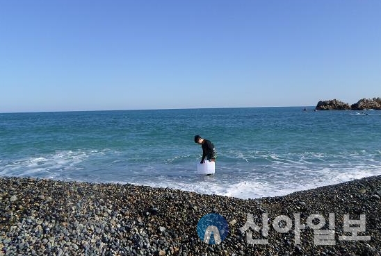 경주 봉길리 해변(처분시설 앞 해상) 해수채취를 하고있다.(사진=원자력환경공단)