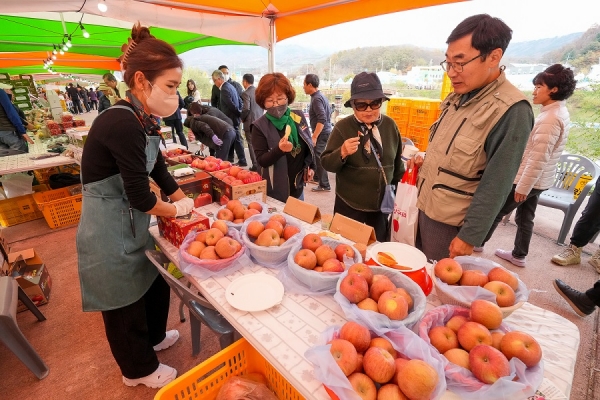 (사진=양구군)