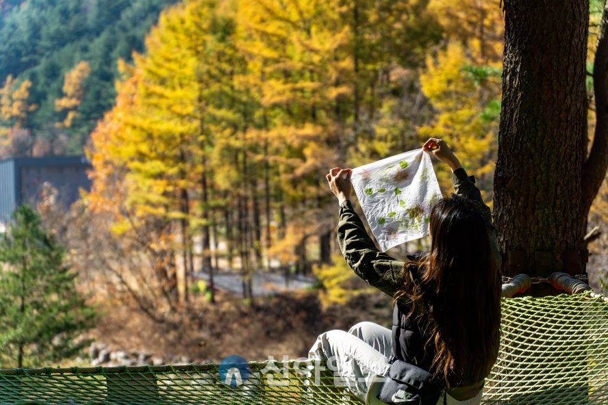 산림복지 사진 공모전 대상 수상작 ‘손수건에 물든 가을 낙엽’(국립춘천숲체원) 사진=한국산림복지진흥원 제공