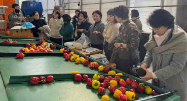 학교급식 영양교사들과 농산물 수확 체험행사/진주시