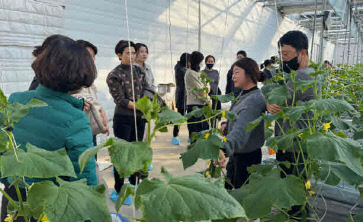 학교급식 영양교사들과 농산물 수확 체험행사